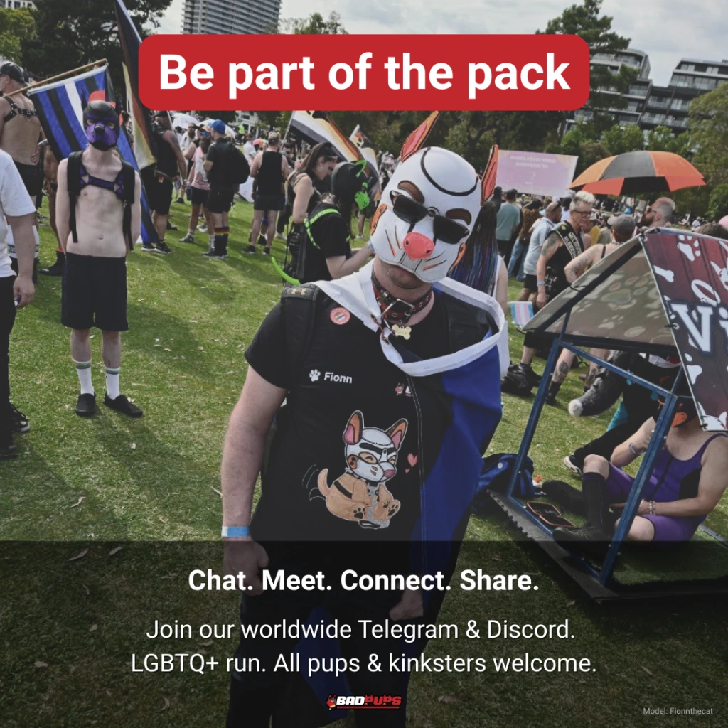 Join the BadPups Telegram and Discord community