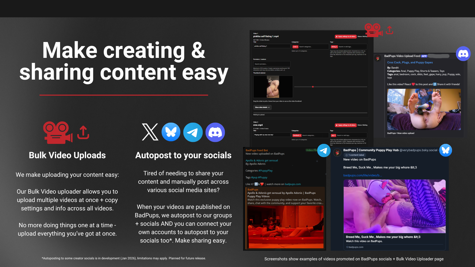 Build your creator profile on BadPups