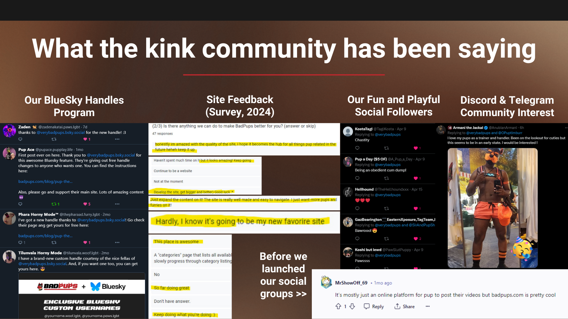 Join the BadPups creator community