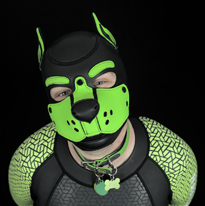 PupArthos
