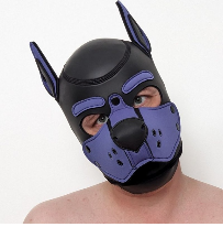 PupGokkun