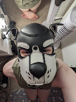 Bit