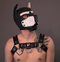 PupViticus