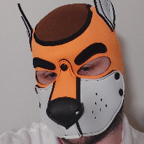 Upsilon Fox