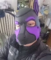 Zolanski_Pup