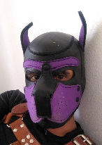 DogSharko