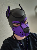 Puppy_Jocelyn