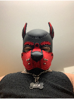 Pup Moon 𖤐