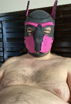 Pup Cobalt